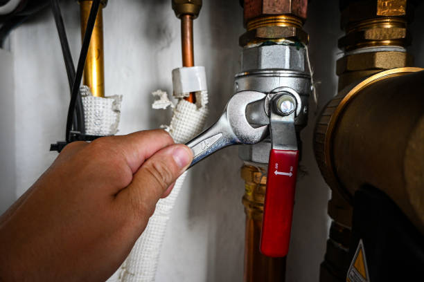 Best Plumbing Services Near Me  in Sulligent, AL